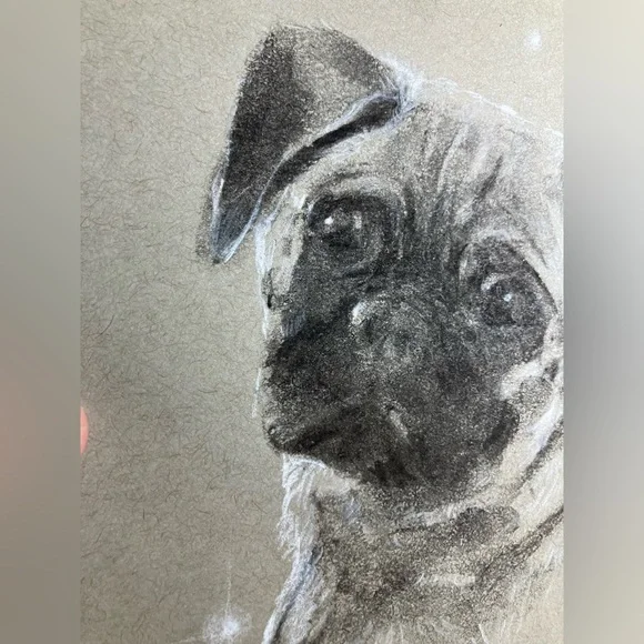 Pug puppy dog original painting charcoal pastel art new artwork black Artettina - Picture 5 of 9